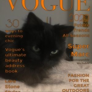 Meet your Posher, Casey